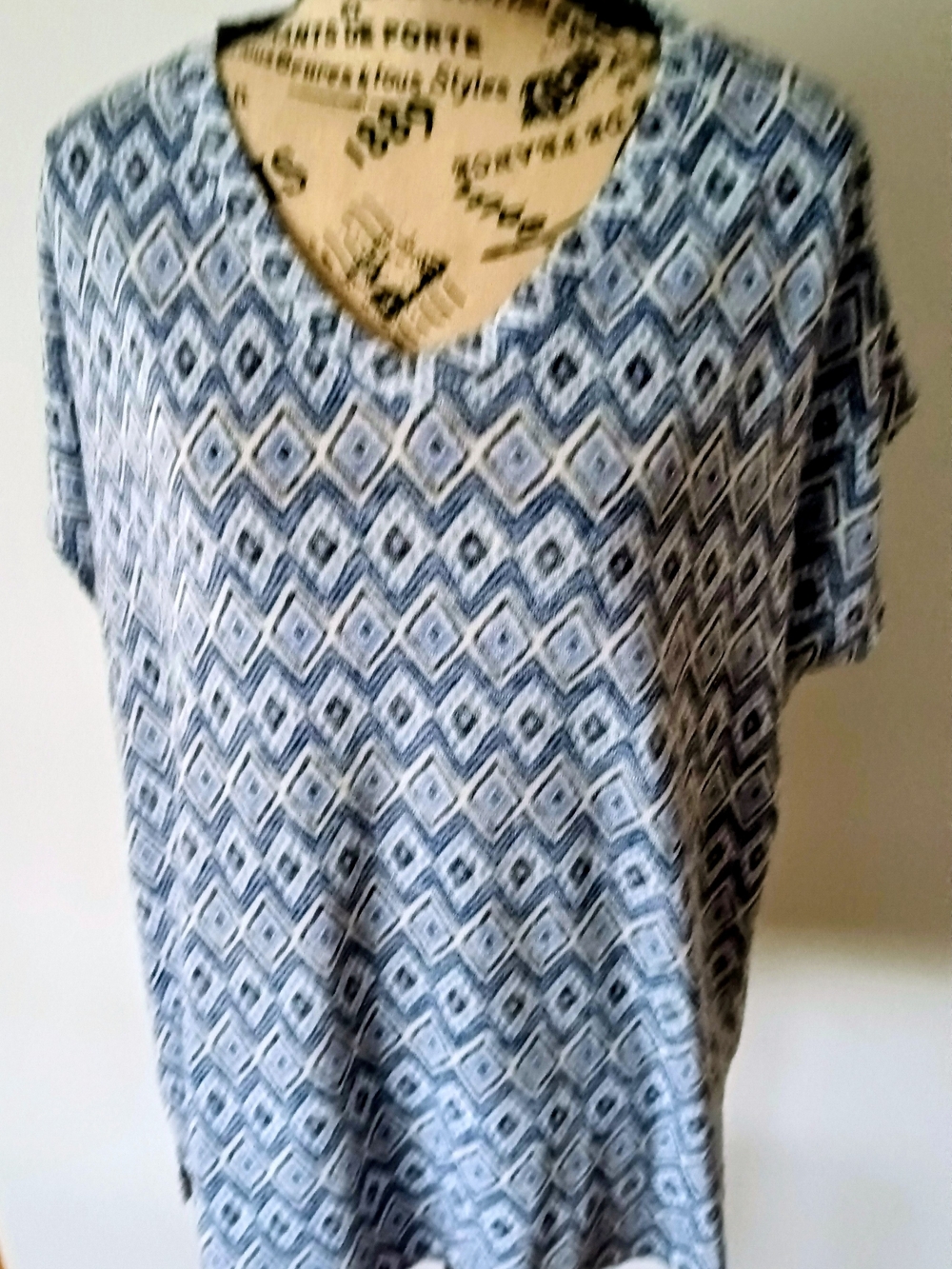 Orvis Blue Geometric V-Neck Short Sleeve Top